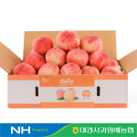 당도선별 영천 딱딱이 복숭아 3kg 구성 : 대경사과원예농협 쇼핑몰