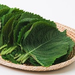우농산 친환경 무농약 깻잎 30g : 우리농수산마당