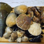 혼합 조개찜 세트 칼국수&구이용 호일서비스 : 주식회사 더블엠