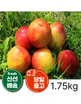 의성 햇 자두 당일수확 산지직송 대석 후무사,후무사2 도담,알프스 추희 1.75kg : 문흥 농장
