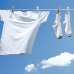 자국이 없는 방풍 의류 클립 가정용 의류 페그 다기능 세탁 건조 걸이식 빨랫핀 도구 : 엠제이로지스식스