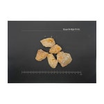 독일가문비나무 수지 Spruce Resin Picea abies 100g : 주식회사 바이어브릿지
