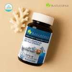 메이플트리 칼슘마그네슘아연플러스비타민D 1,305mg x 90정 관절 영양제 무릎 골격형성 뼈 건강 : 피봇포인트