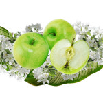 찹찹 덴탈껌 강아지 치석제거 개껌 쏨달펫 관절건강, 250g, 30개 : 쏨달펫