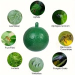 파리 과일 날으는 진딧물 유인 곤충 모기 포획 라이트 그레이 : 수박4