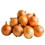 [싱싱야채소] 25년 수확 국내산 햇양파 5kg 사이즈선택 : 국내산신선농산물SSB