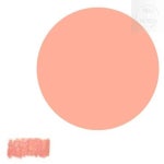 넘버원 반품불가 색연필 PC1092 1개입 프라즈마색연필 프리즈마유성 미술도구 : 좋은상품넘버원스토어