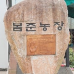 [봄춘농장] 명인 100% 국내산 무농약 아침대용 과채주스 토마토즙 120ml 50개입 : 안심농
