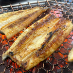 농가살리기 손질완료 남해 가정용 바다장어 400g : 농가살리기