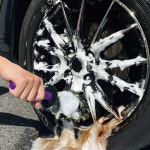 프로스태프 몬스터 켈베로스 세차 휠브러쉬 대형 림브러쉬 460mm, P202 : 프로스태프 공식몰