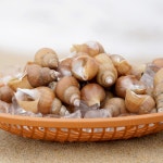 자연산 백골뱅이 무침 밀키트 3인분 백고동 : 더좋은씨푸드