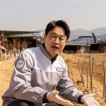 산초차 티백 (1.2g x 50티백) 생분해필터 사용 산초열매 100% 국산티백차 우보산초 : 우보산초기름 밀양 손명진