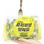 그린어스 프리미엄 유러피안 샐러드 100g 5팩 : 그린어스샐러드