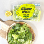 그린어스 프리미엄 유러피안 샐러드 100g 5팩 : 그린어스샐러드