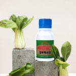 예봉 팩트 고농축 침투확산제 200ml 전착제 고착제 : 주식회사 예봉바이오