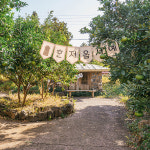 [제주] 제주 최남단 체험감귤농장 : T-bridge