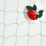 농사 그물망 8m 식물 넝 쿨 망 오이 호박 원예 용 네트 농작물그물망 울타리 가든 용그물망 그물방 호박망 : 말랑바다샵