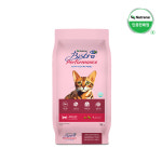 캐츠랑 고양이사료 비타플러스 점보 20KG 대용량 길고양이 길냥이 길양이 사료 : 브이펫 PETSHOP