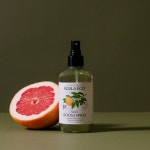 코알라에코 룸스프레이 실내 섬유 방향제 탈취제 250ml : EZ POP