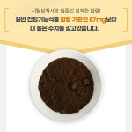 캄보디아 자연산 상황버섯 분말 베타글루칸 80g 1통 : 스테디GO