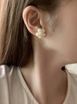 데이지 진주 플라워 귀걸이 2컬러 데일리/AVECHER 아베쉐르 블랙 : 아베쉐르