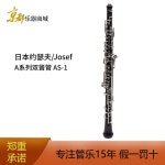 Rochix 오보에 초보 목재 wood silver AS 받침 청소 학생 멀티 plated AS AS : 라이트 앤 럭스