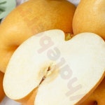 신고배 가정용 15kg (13-20과) (상) 설날 명절 과일 과일선물 명절선물셋트 : 웨일베리 6th