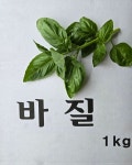 (한정특가 페스토용)예원농장에서 직접 수확한 향이 진한 스위트 생바질 1kg 페스토만들기 : 예 원 농 장