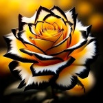 5D 다이아몬드 페인팅 키트, 옐로우 로즈 아트, DIY 풀 라운드 드릴 도트 젬 아트 홈 월 장식 13.78x13.78인치 JK750-1 : 호핑컴퍼니