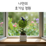 호기심정원 토피어리 화분 5세트 원예키트 그림책 원예수업 : 로뎀플랜테리어