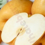 신고배 가정용 15kg (26-30과) (상) 설날 명절 과일 과일선물 선물용배 : 웨일베리 6th