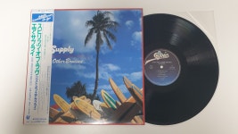 Air Supply Love And Other Bruises LP / P0064 : 니어민트