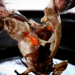 국내산 암꽃게와 30년 비법 간장으로 만든 간장게장 2kg : 지성식품 본점