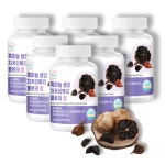 플로라정 국내산 흑마늘 생강 치커리뿌리 플로라 정 60정, 6개 : 컨티뉴웰