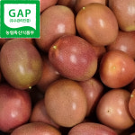 GAP 국산 백향과 생과 1Kg 최상품 패션후르츠 농부가 직접 판매 농장직송 김제 솔향농원 : 솔향농원