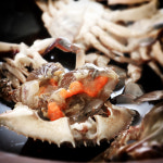 국내산 암꽃게와 30년 비법 간장으로 만든 간장게장 2kg : 지성식품 본점