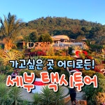 세부 시티투어 택시투어 렌트카 단독 자유여행 패키지 : 투어스타