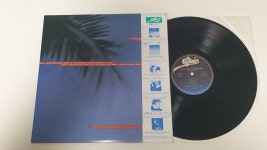 Air Supply Love And Other Bruises LP / P0064 : 니어민트