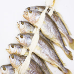 ㈜서해 영광보리굴비 법성포굴비 영광굴비선물세트 명절선물세트 설날 추석/10마리 : 주식회사 서해체인스토아