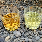 유기농 보성녹차 세작 티백 30개입 TEA 차종류 선다원 : 보성녹차선다원