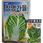 농우 청명가을 2000립 배추씨앗 김장배추 : 신흥팜마트