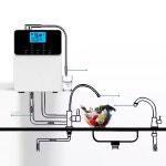 기술 KANGEN WATER 플레이트 이온수기 알칼리성 11 코팅 백금 MACHINE White 110 볼트 240 볼트 : 임스샵