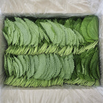 국내산 찹찹이 깻잎 1kg 2kg 펴진 깻잎 : -클릭마켓-