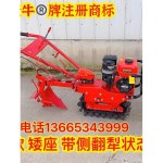 미니경운기 밭갈이 무한궤도 텃밭관리기 트랙터 이앙기 170 가솔린 엔진 시동측면 쟁기 1 170 가솔린+사이드 스플리터 : 엘프로데호이