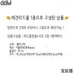 산책필수품 세상하나뿐인 도도멍 데일리 리드줄 7m : dodoM