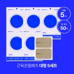 통증연구소 근육 관절 붙이는 원적외선 패치 사이즈별 5팩 세트 : 통증연구소.