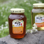 소백산 선흥 사양 잡화꿀 2.4kg : 정한농원