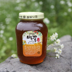 소백산 선흥 사양 잡화꿀 2.4kg : 정한농원