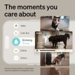 PETLIBRO AI 반려견카메라 멀티펫인식 360도 1080P : 리갈볼트