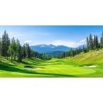 골프 스크린 연습장 필드 하늘 구름 초록 그린 자연 숲 golf 필드 용품 파르텔 벽지 시트지 롤스크린 : 으뜸데코